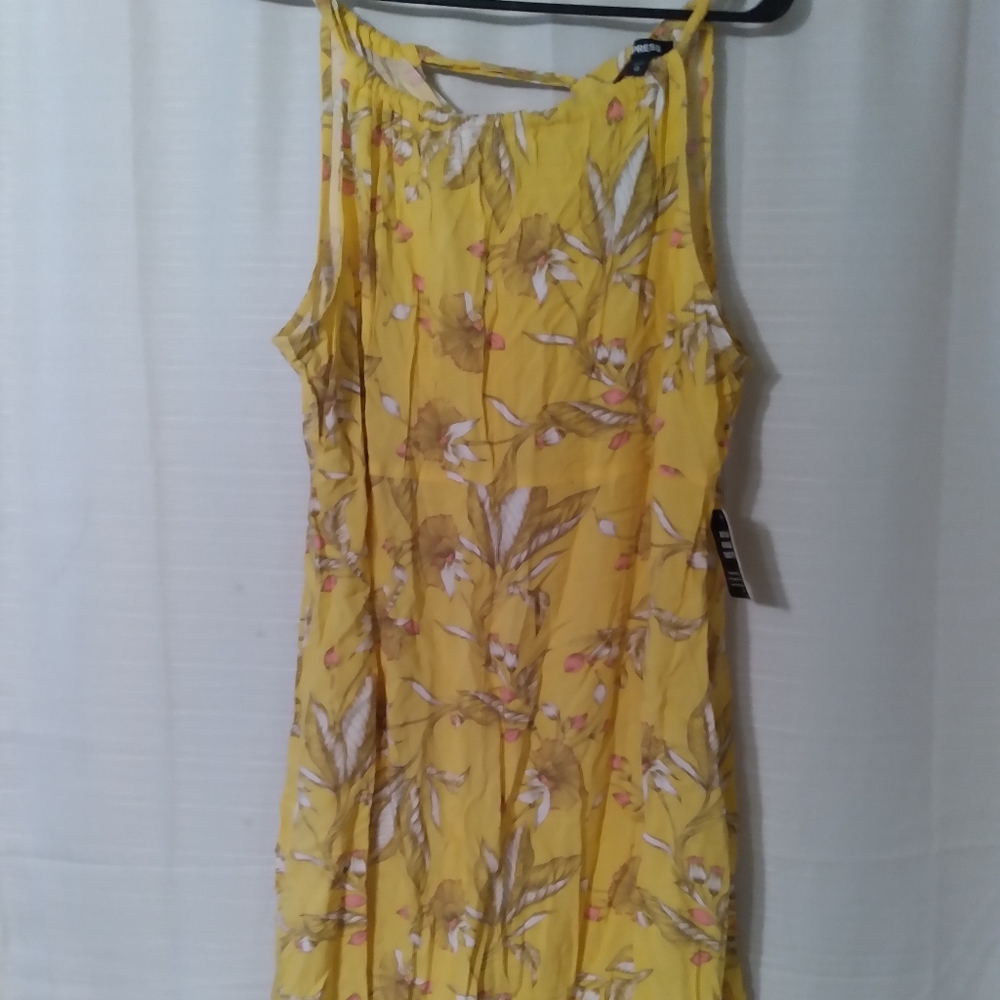 Express dress